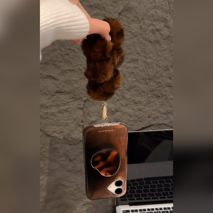 Dreamy Vintage Amber Case