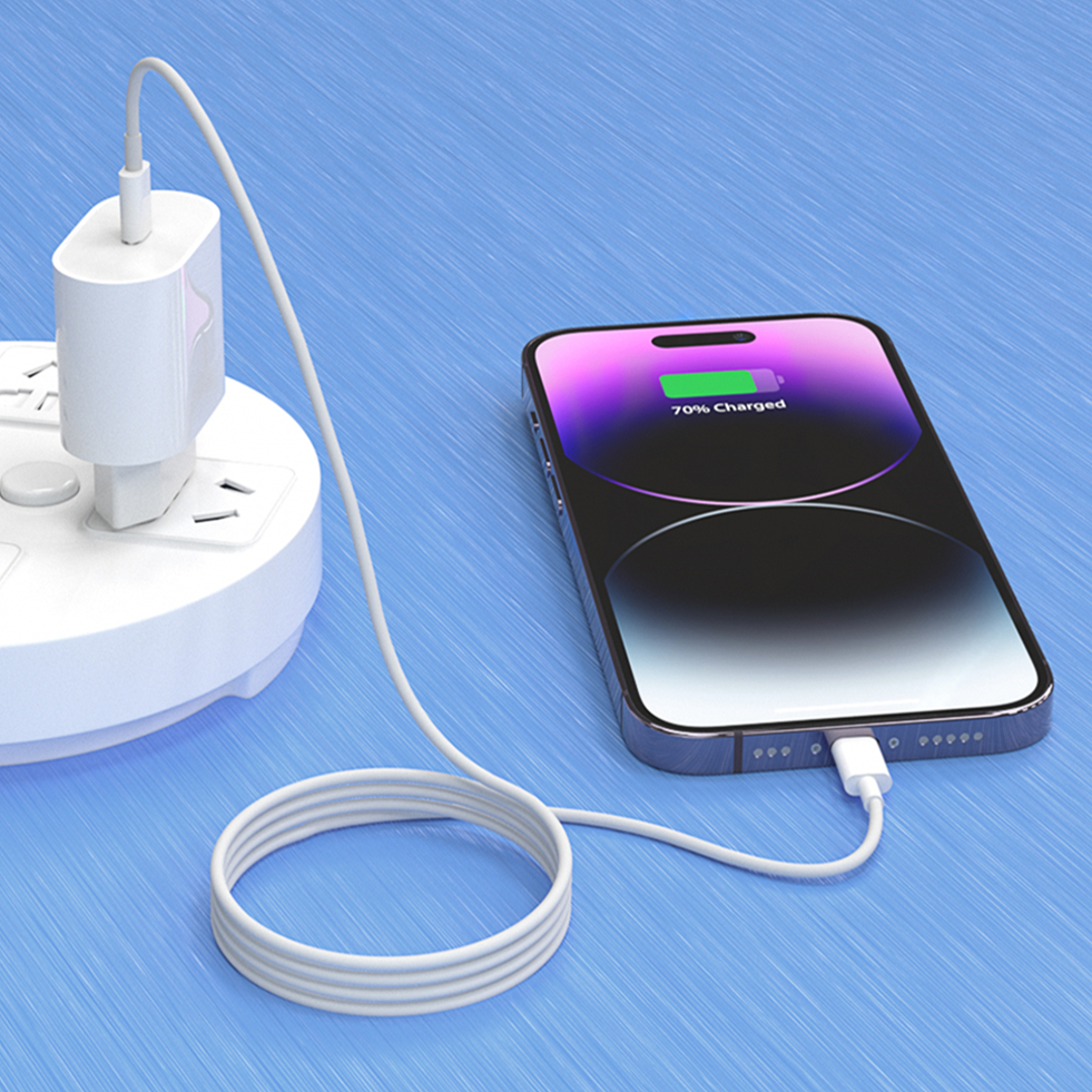 iPhone Type-C to Lightning Charging Cable