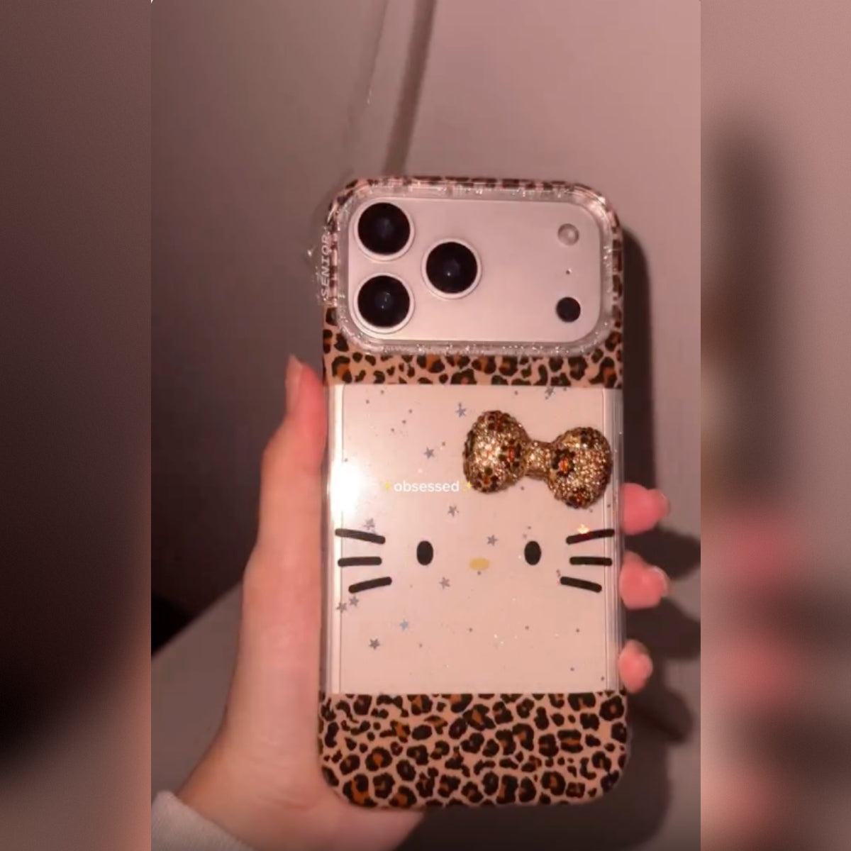 Chic Kitty Glam case